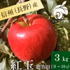 長野県産紅玉 贈答•贈り物3kg 減農薬 葉とらずりんご 9月上旬頃出荷開始予定