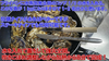 １名様用の牡蠣★１kg  殻付き 牡蠣 殻付き　加熱用 松島産