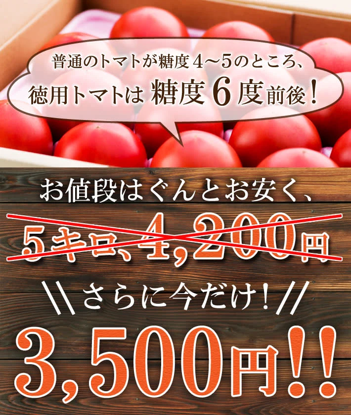 さわやかな甘味が特徴の徳用トマト5kg　宮崎県産