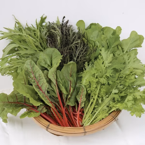 阿蘇蔵野菜5種盛りMセット