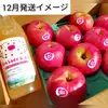 【樹熟りんごで口福体験を♪】旬のりんごリレーBOX