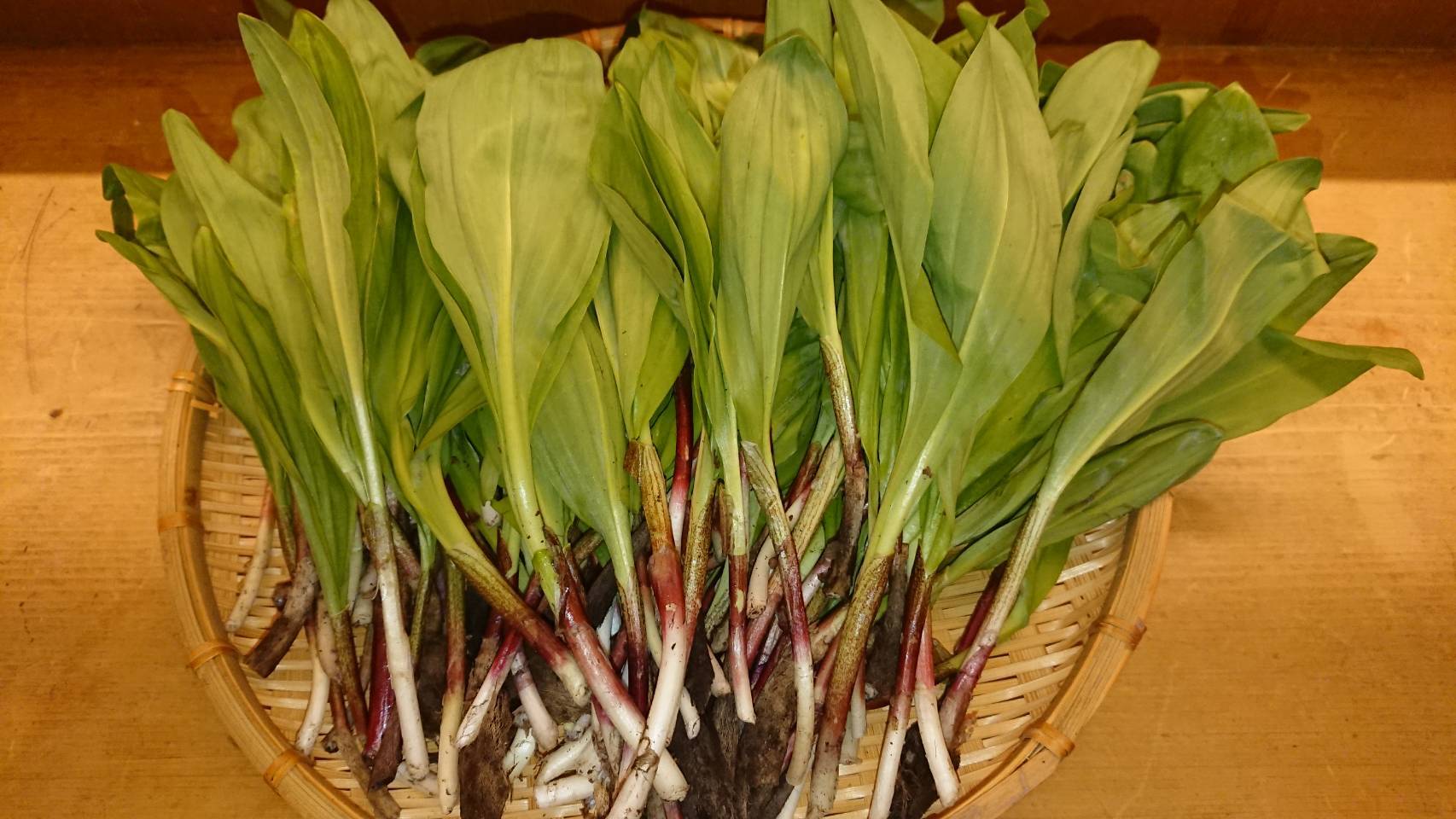 行者ニンニク　HERO様 行者にんにくの産直通販・お取り寄せ商品｜ポケットマルシェ｜産地直送