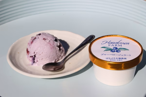 ブルーベリージェラート7個セット