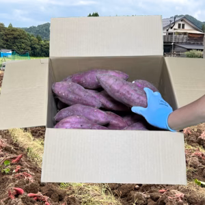 【蜜たっぷり！】富山県産『紅はるか』(5kg・10kg)(SーM)