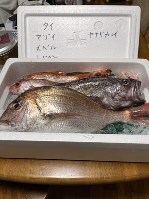 みんなの投稿の画像