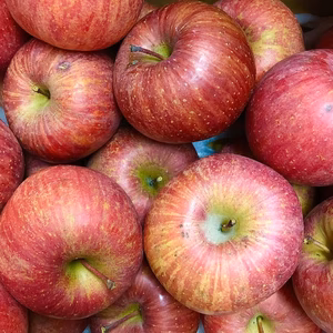 家庭用サンふじ