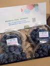 ブルーベリー高級品種トワイライト　400g