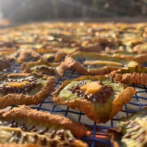 【10％増量中】リフレッシュに！旨みたっぷりドライキウイ［無添加・砂糖不使用］