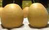 王秋梨　ご家庭用の梨（Ｂ品です）5玉～10玉サイズの梨が5キロ入っています　