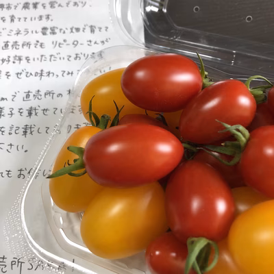 みんなの投稿の画像