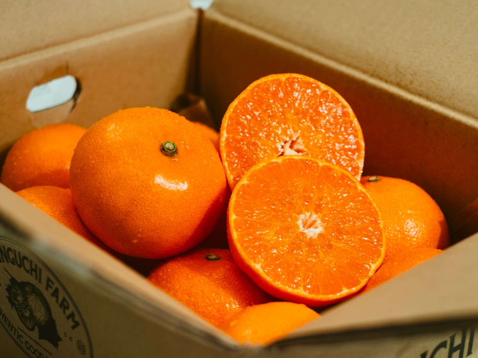 柑橘の大トロ【せとか】～とろける濃厚果実～ 家庭用｜みかんの商品