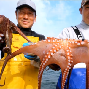 ☆関門海峡たこ☆のお刺身　