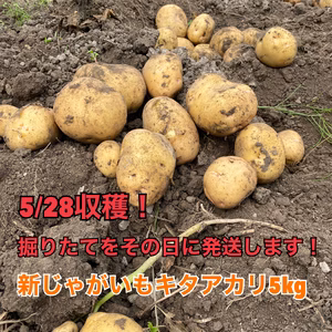 ホクホク甘い！新じゃがいもキタアカリ5kg