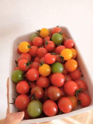 みんなの投稿の画像