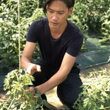 長田孝子 | OSADA GREEN FARM
