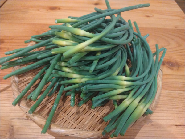 早いものがち◆北海道◆ニンニクの芽◆栽培期間農薬使用していません