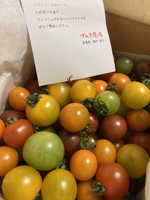 みんなの投稿の画像