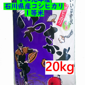 コシヒカリ 20kg【R１年産】金沢いやさか米