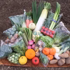 Ⓑ静岡厳選野菜セット
