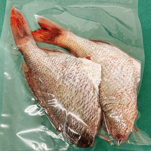 【色々あって特価です】簡単調理でキッチン綺麗！タイドレス２尾入500g〜