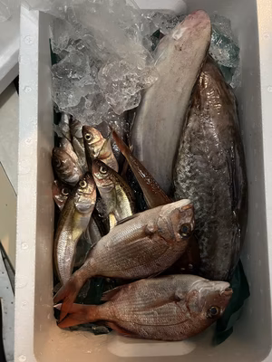 みんなの投稿の画像