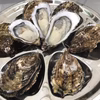 pecco oyster♡ぺっこおいすたー（生食用）