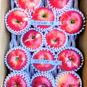 葉とらず丸かじりりんご 長野県生まれ 2品種 約２．５Ｋ