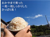 【手植え手除草天日干し】2018年産　無農薬無肥料栽培　朝日米（玄米）