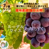 早生ぶどうセット！夏のギフト　あづましずく＋エーデルワイス