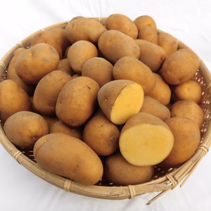 幻のじゃがいも【インカのめざめ】北海道産MLサイズ１０kg 期間限定でのご提供。