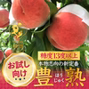 累計20,000件突破！本場山梨でしか味わえない熟した『豊熟桃』【7月先行予約】