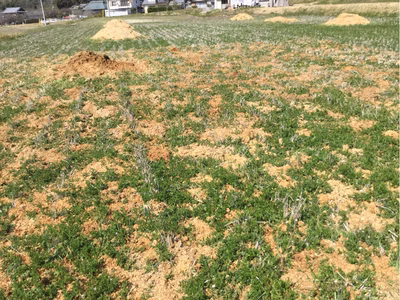 みんなの投稿の画像