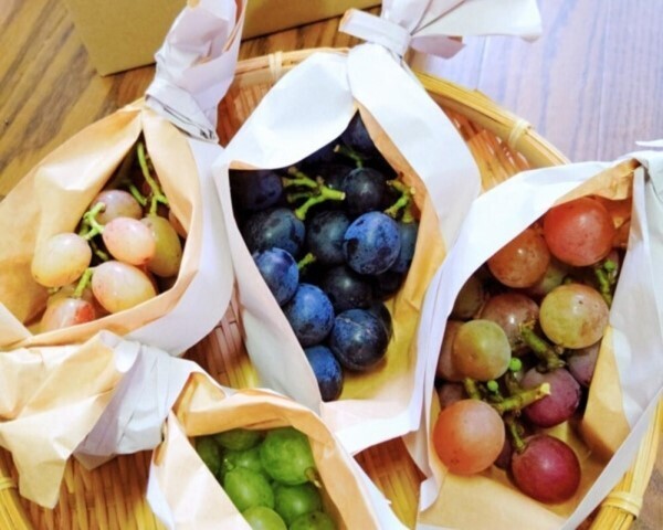 超お買い得品、「野菜だしの力」5袋まとめ買いで12%割り引き