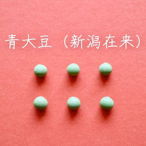 【青大豆（新潟在来）　２００g】塩茹ですると枝豆のような味の大豆です
