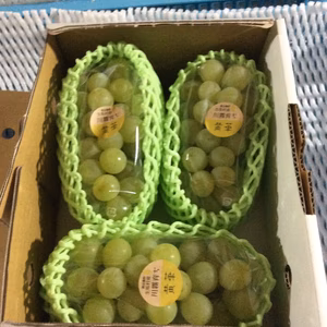 黄華（おうか）− 甘すぎるぶどうに飽きた方にオススメします