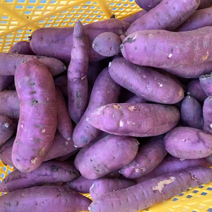 茨城県産さつまいも♪紅はるか　訳ありお買い得♪