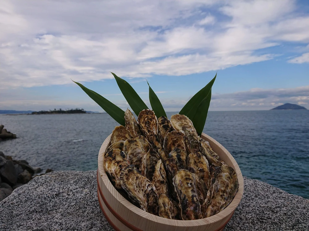 糸島福吉産 1粒牡蠣、飛龍丸の牡蠣殻付き