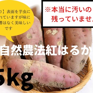【訳あり】自然農法 紅はるか(5kg)