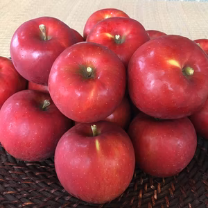 【家庭用】南信州産　紅玉