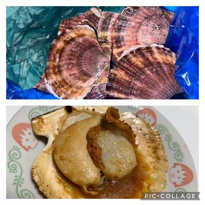 みんなの投稿の画像