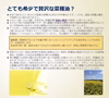 自家農園産自然栽培原料・低温圧搾生搾り菜種油