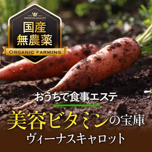 【有機JAS認定にんじん】美容ビタミンの宝庫"ヴィーナスキャロット”お試し3kg
