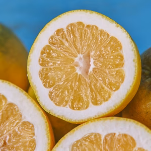 他では買えない？　超完熟河内晩柑　見た目と味のギャップは日本一