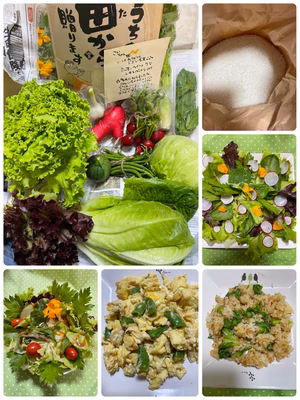 みんなの投稿の画像