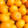 【超特価】温州ミカン,みかん 10kg 80個〜120個（多少傷あり）佐賀県産 