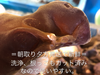 (生)食欲の秋『白いキクラゲ』『黒キクラゲ』500g～