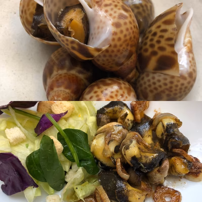 みんなの投稿の画像