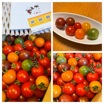 みんなの投稿の画像