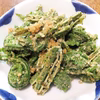 天然山菜  青こごみ500g おひたし ごま和え 天ぷらにどうぞ‼
