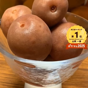 無添加カリカリ南高梅　すっぱい しょっぱい 赤玉（種あり）300g